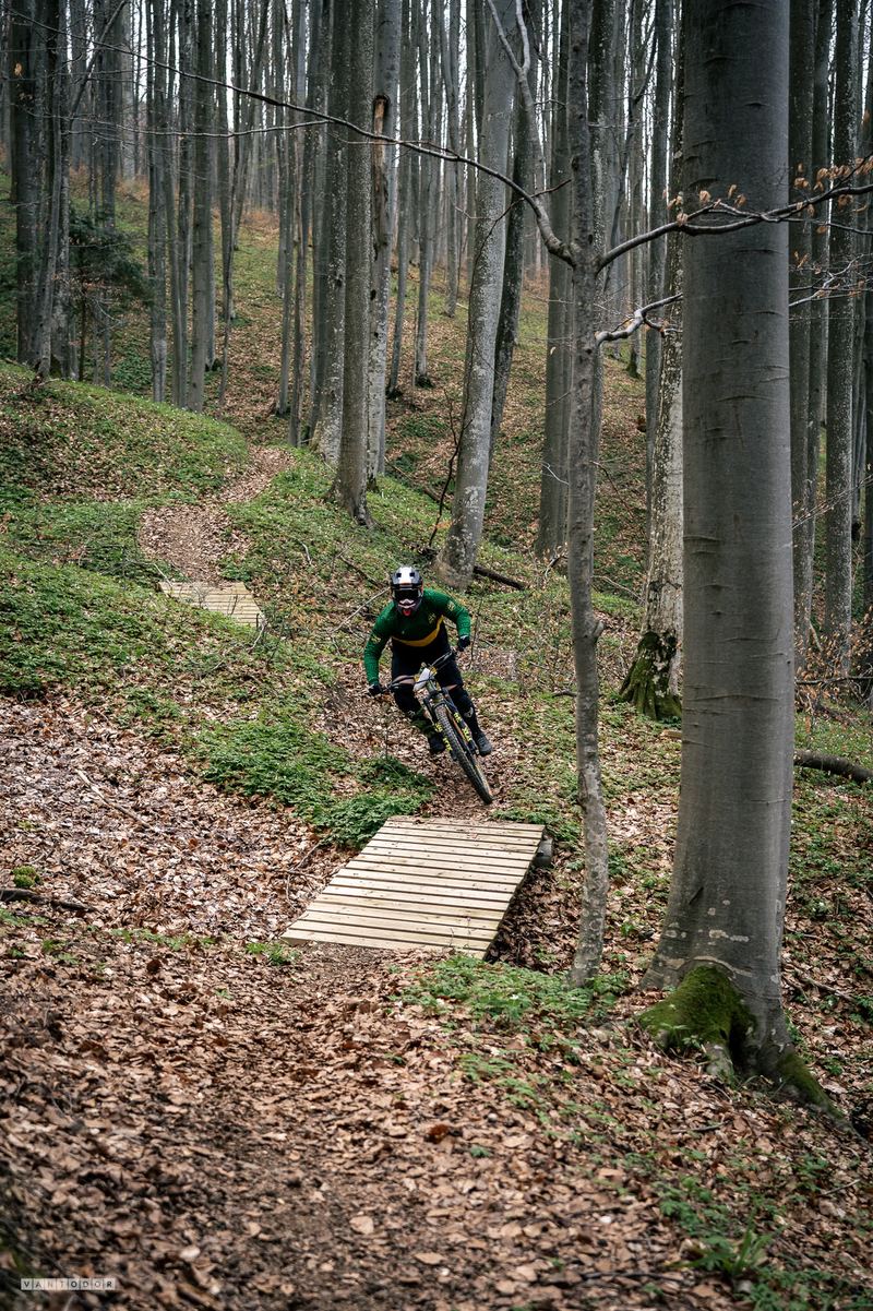 Biciclist coborând pe o potecă de pădure, peste un podeț de lemn